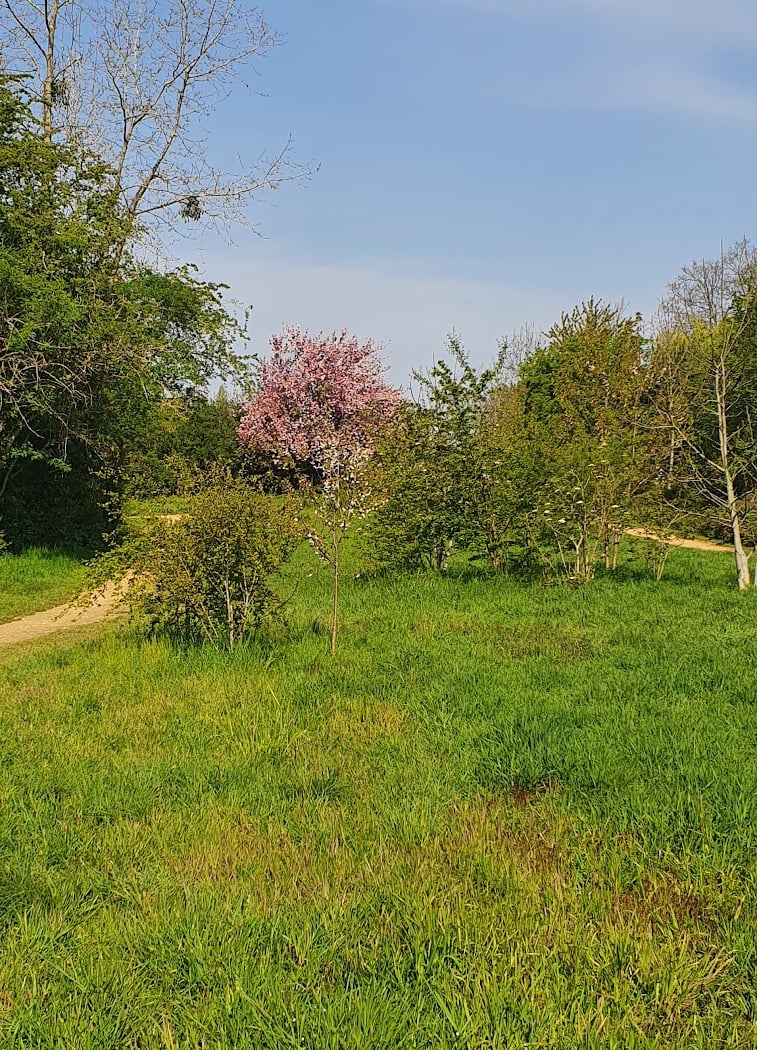 Parc des Aulnes 3